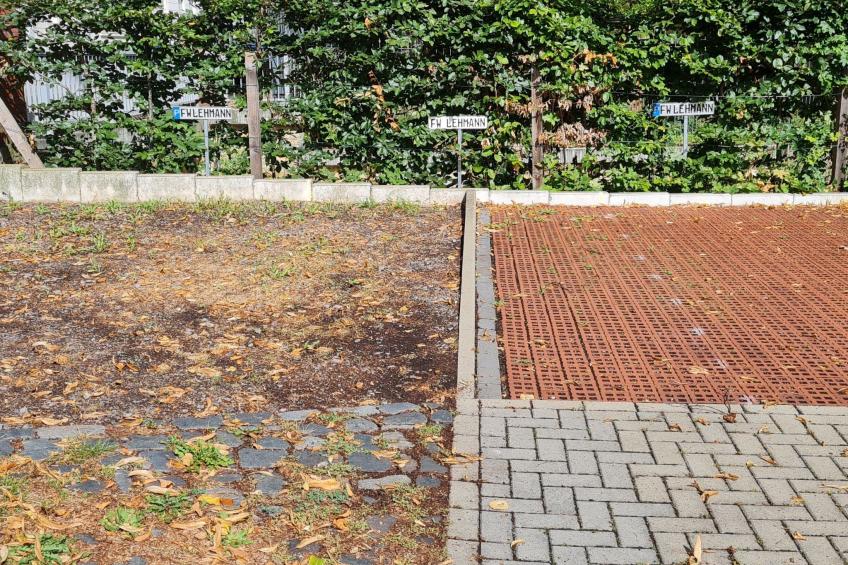 barrierefreie Wohnung in ruhiger Zentrumslage - foto 42