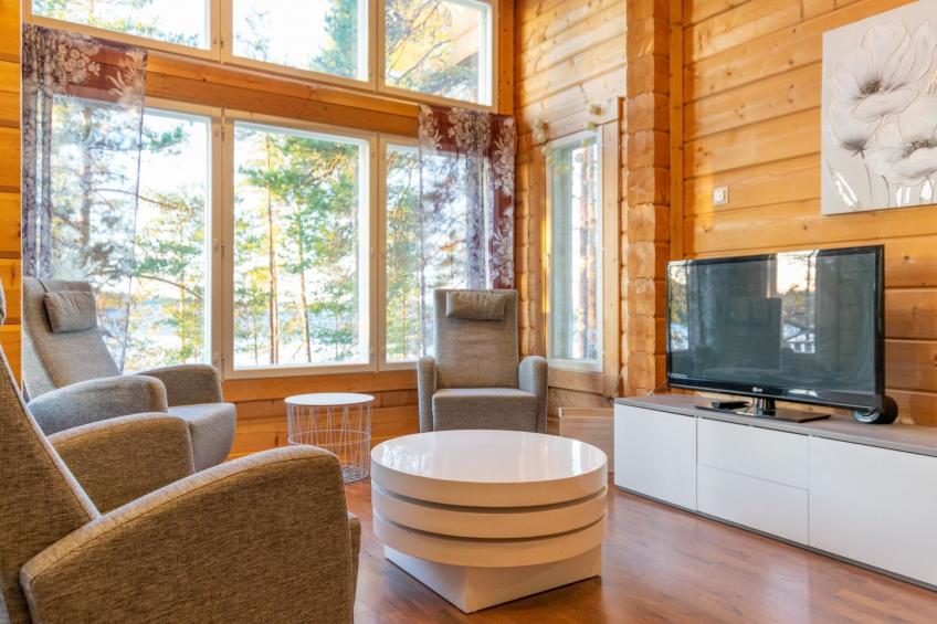 Näsinjoutsen - foto 6