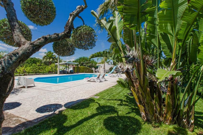 Poggio Trullo mit Pool - foto 3