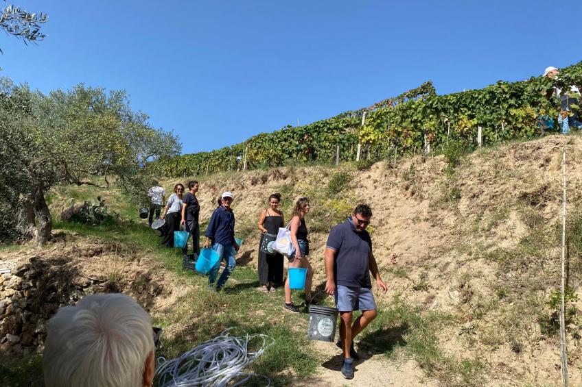 Großes Studio mit Terrasse mit Meerblick - foto 48