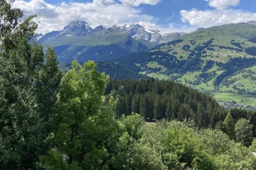 im Haus Chistasteggli - foto 5