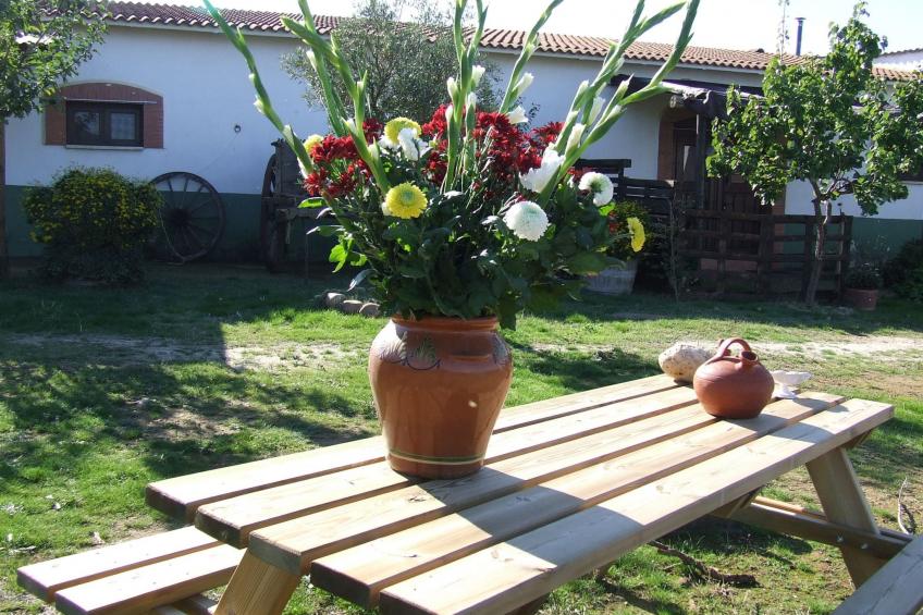 Finca El Chorrillo Studio - foto 20