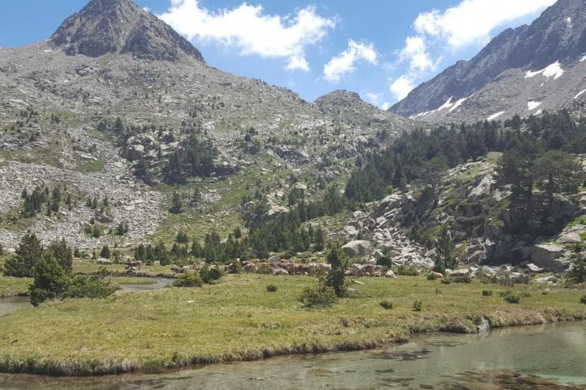 Appartement mit Terrasse - foto 34