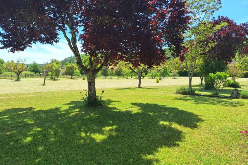 im Périgord in Saint-Cybranet - foto 6