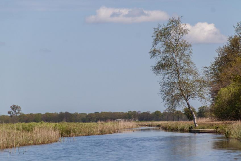 Groepsaccommodatie + 4 large greenhouses (36 personen) - foto 35