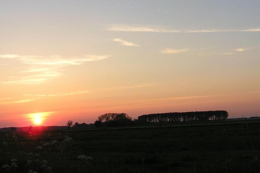 Bungalow Hechthausen - foto 26