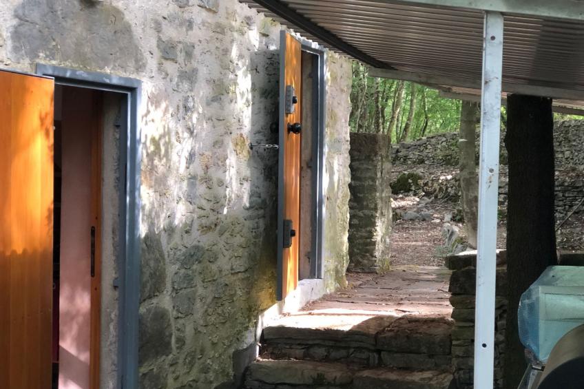 Kirschbäume, eine Oase im Wald zwischen Meer und Natur - foto 36