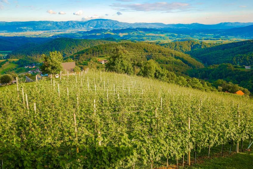 Secluded Escape Hilltop Villa with Hot-Tub - Two Bedroom Villa with Hot-Tub - foto 15