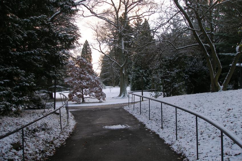 Fewo-ferber, Vogesen - foto 26