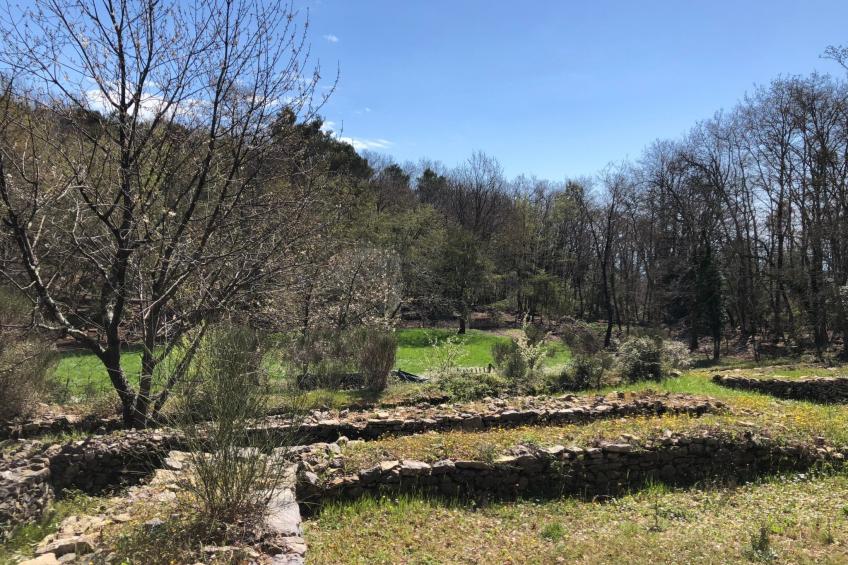 Mago in Ameglia - foto 10