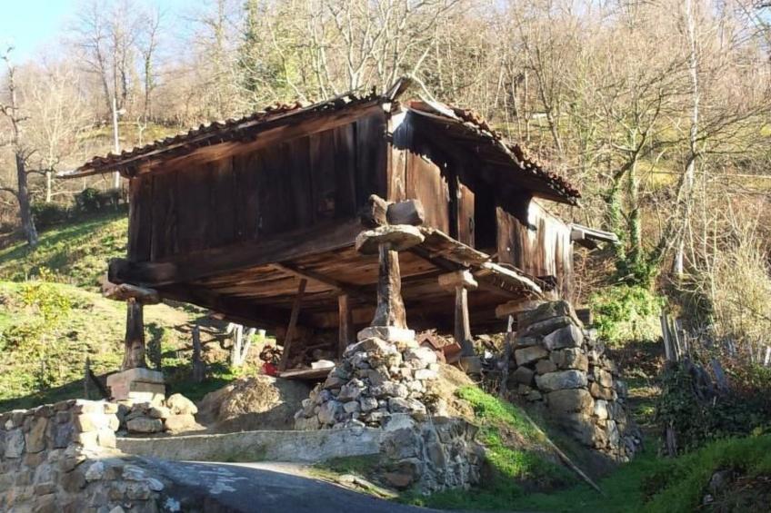 Ländliches Haus La Carrozal Senda del Oso - foto 36