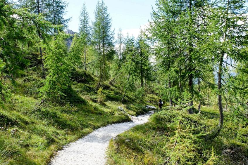 La Piciola - foto 24