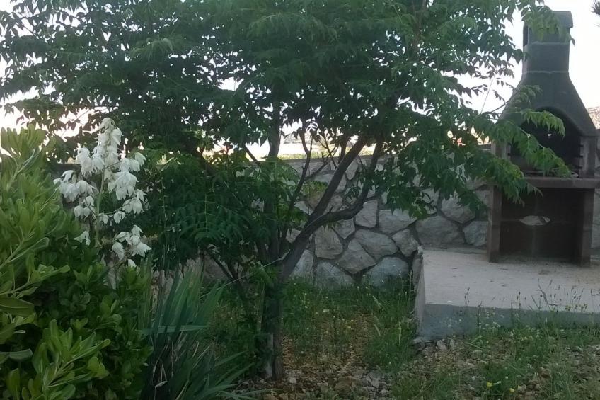 mit Blick auf das Wasser - foto 49