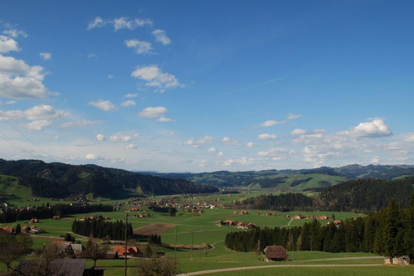 13384 - foto 2