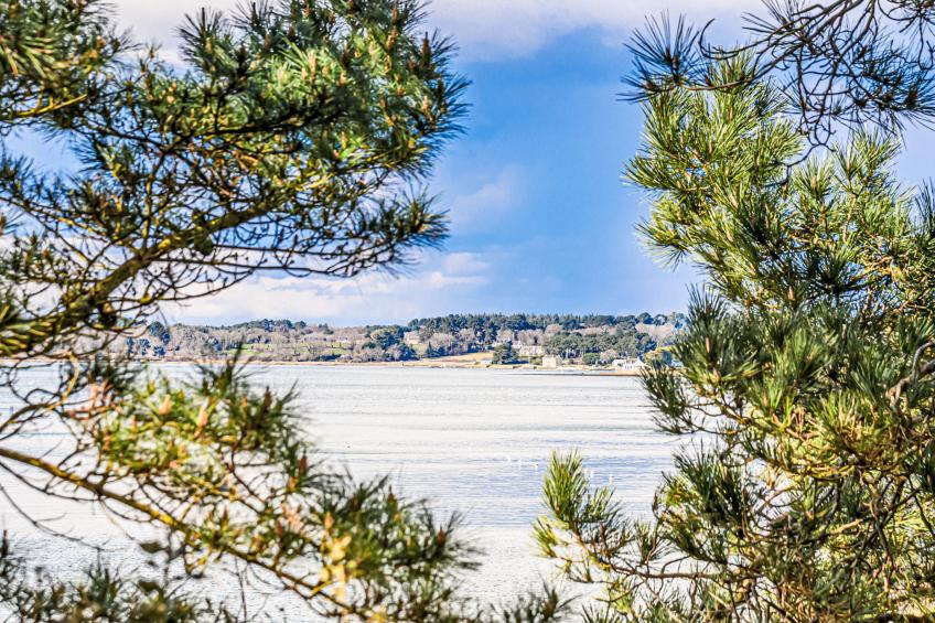 Les Iles du Morbihan - foto 14