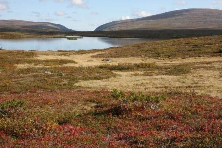 Charmantes Blockhaus, Sauna und Kamin - foto 16