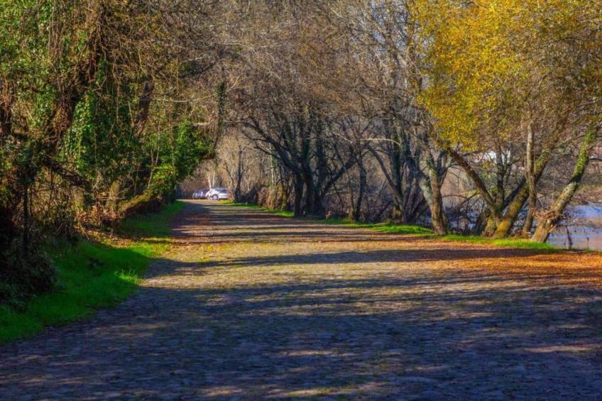 Casa do Tanque - foto 25