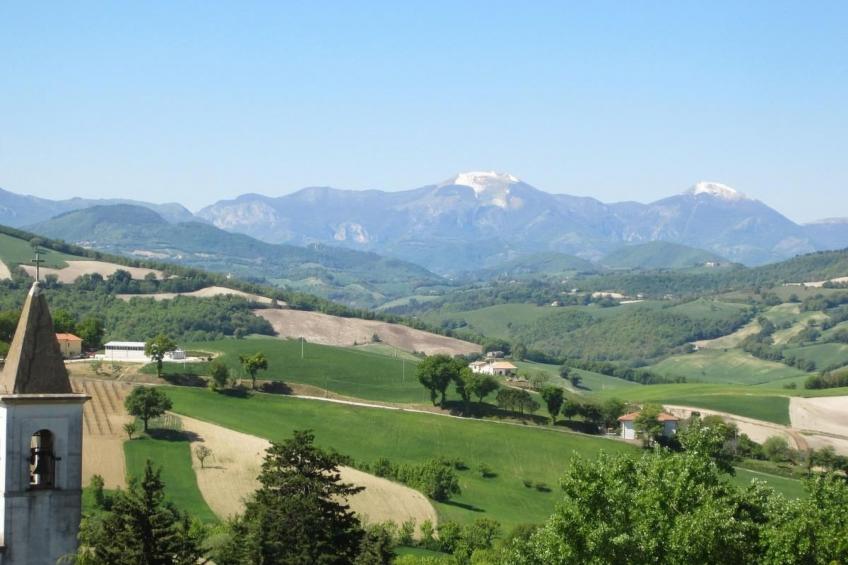 App. San Pietro - foto 27