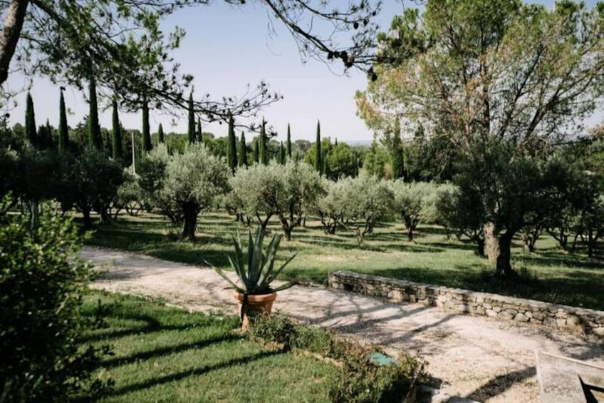 La Volière - Pernes-les-fontaines - foto 24