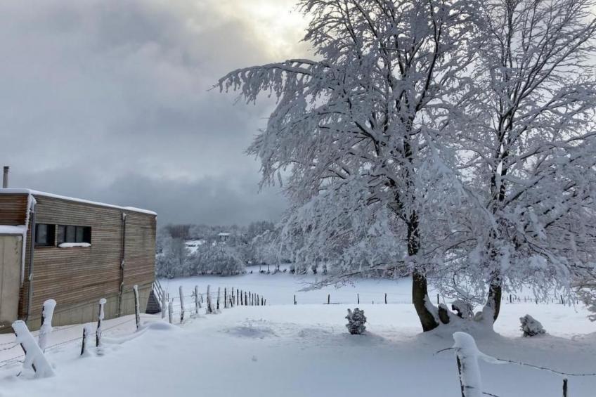 Exklusives Ferienhaus mit Terrasse und Garten - foto 36