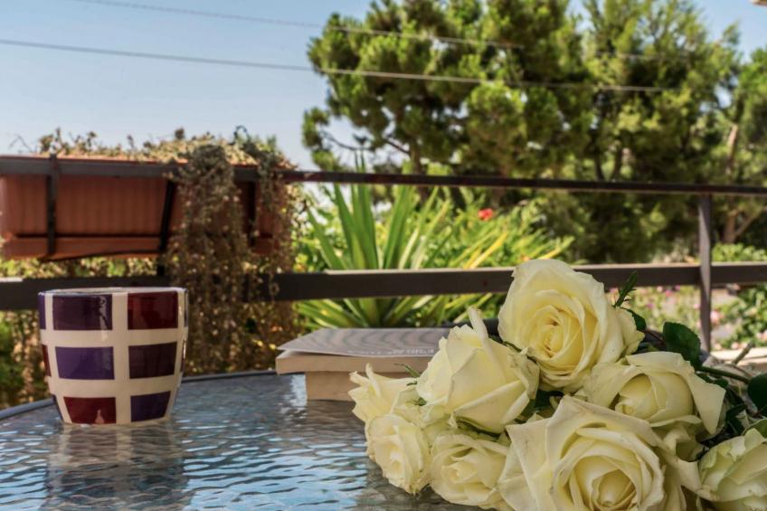 Villa dei Noci - foto 17