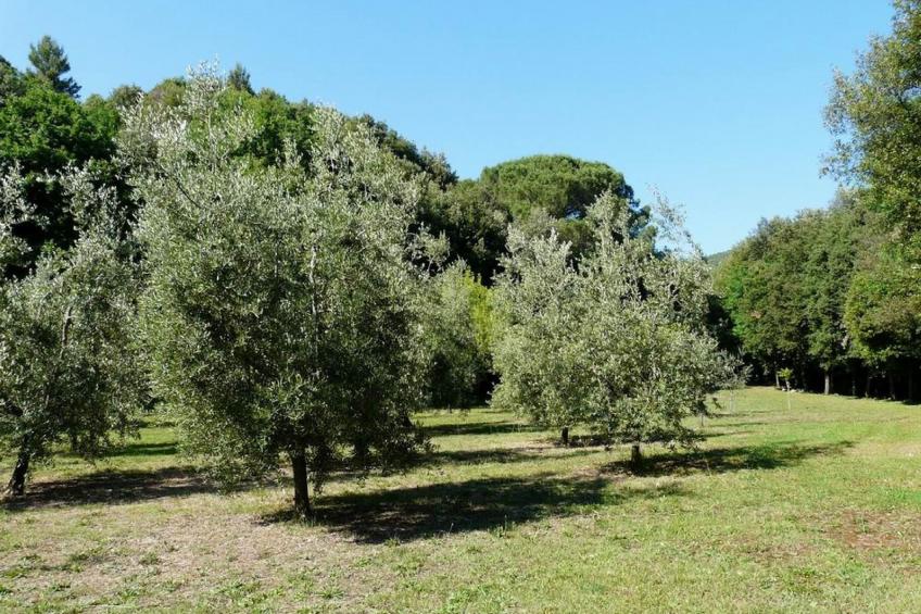 Molino Trilo 5 - foto 21