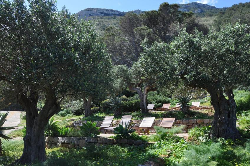 Wohnung in Marettimo mit Terrasse, gemeinsamem Pool und Garten - foto 13