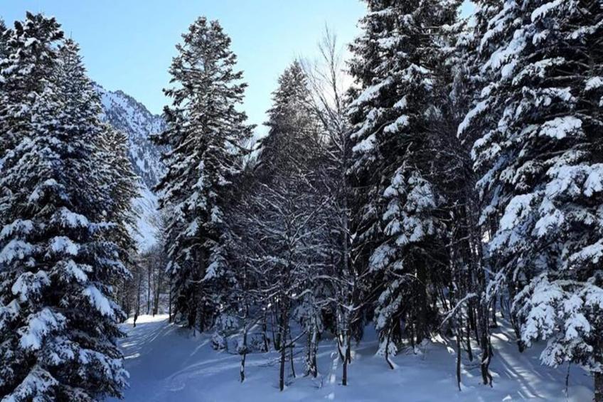 Résidence Ayre - foto 22