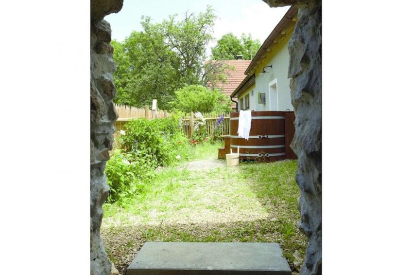 48979 - foto 4