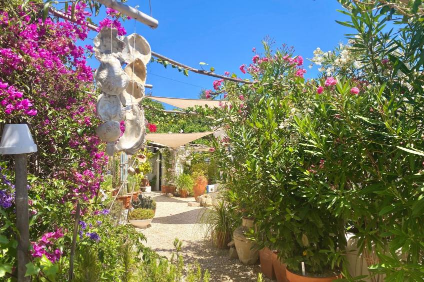 Vila Verão Nur für Erwachsene - foto 5