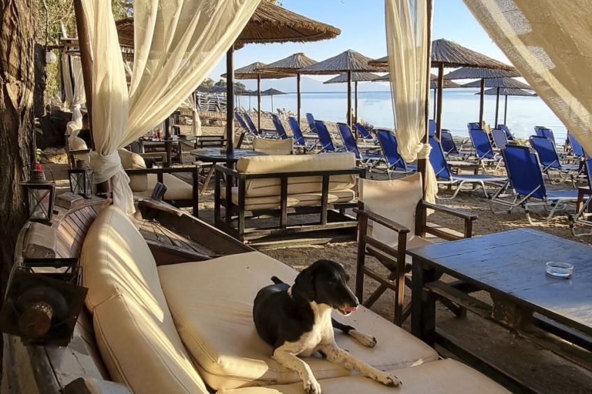 Ferienunterkunft "Villa Agape Pelion" - foto 36