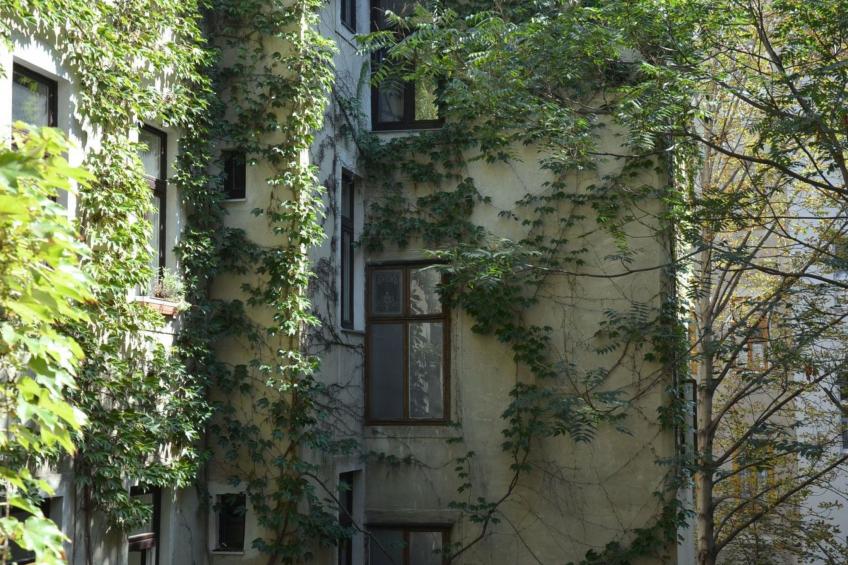 Vienna1090 - foto 25