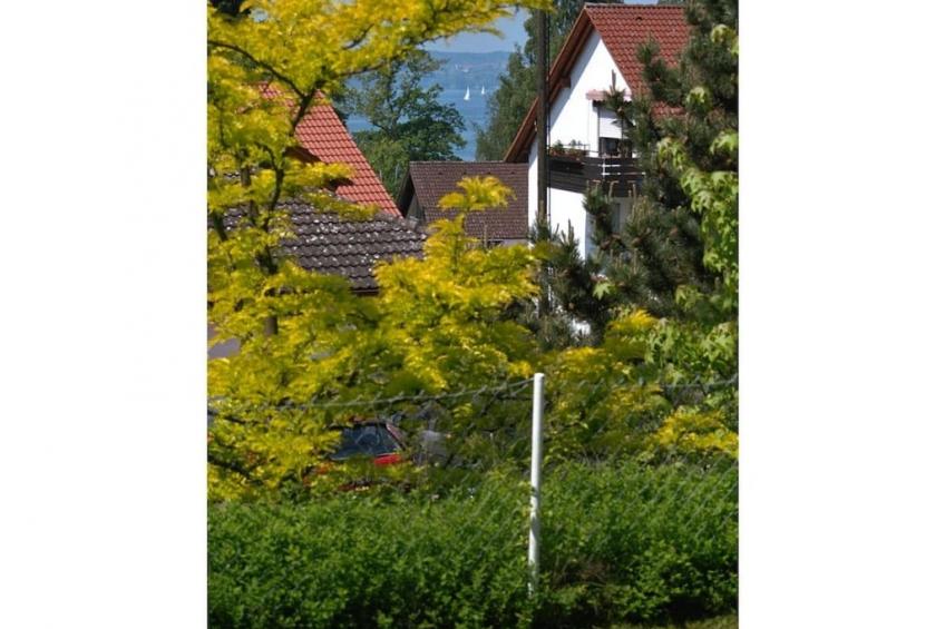 79257 - foto 4