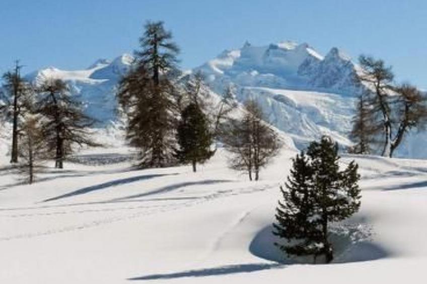 Chalet mit Blick auf die Berge - foto 44