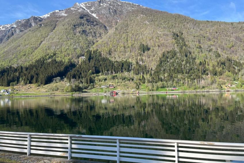 Fjordtraum - foto 25