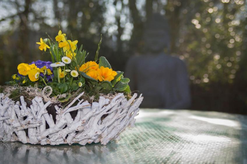 in Niebüll mit Großer Terrasse - foto 3