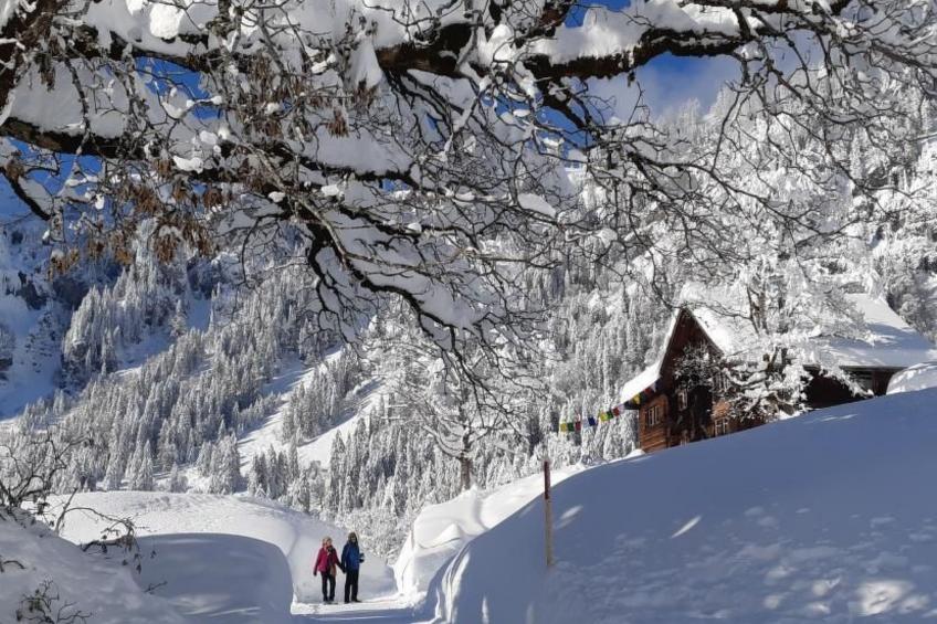 Rietberg 8 Braunwald - foto 17