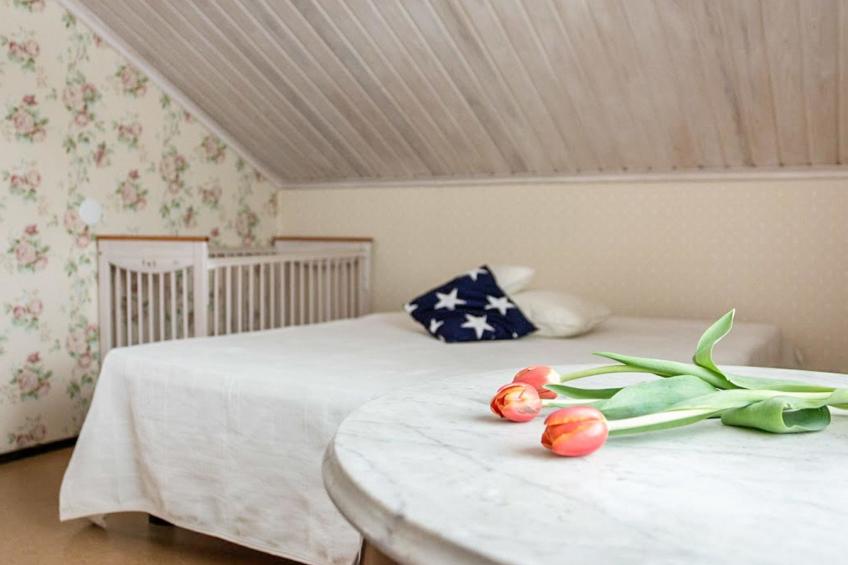 Tervaharju - foto 17