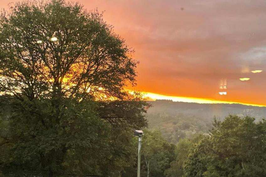 Appartement - MONTAUROUX - foto 39