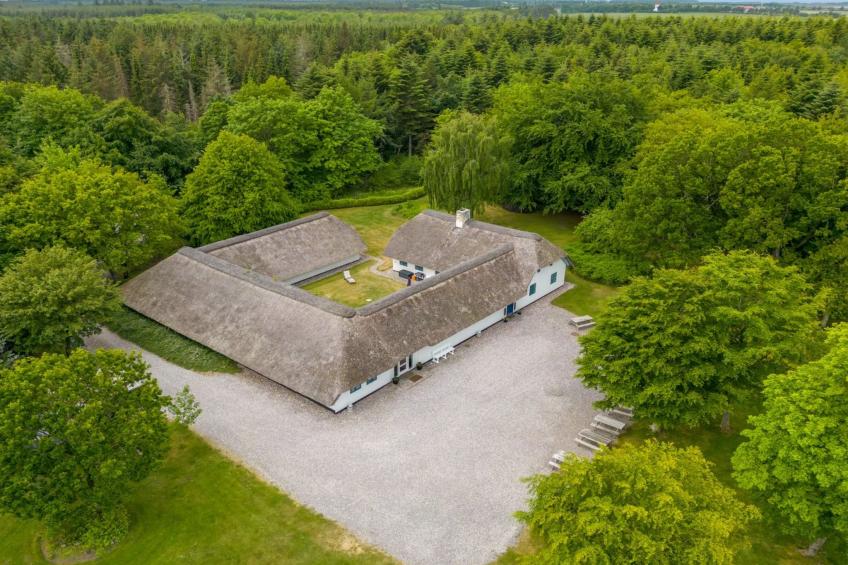 "Tatiane" - 10km from the sea in Western Jutland - foto 53