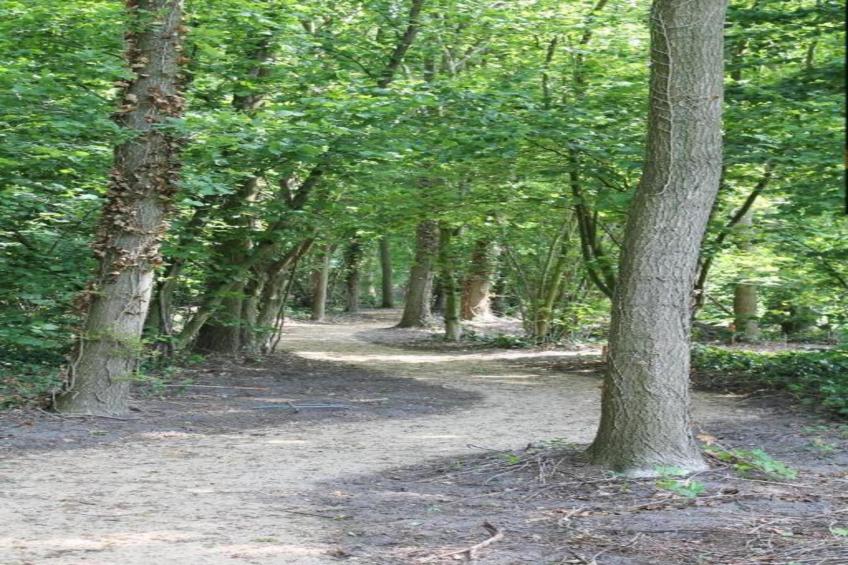 Parc de Kievit 17 - foto 24