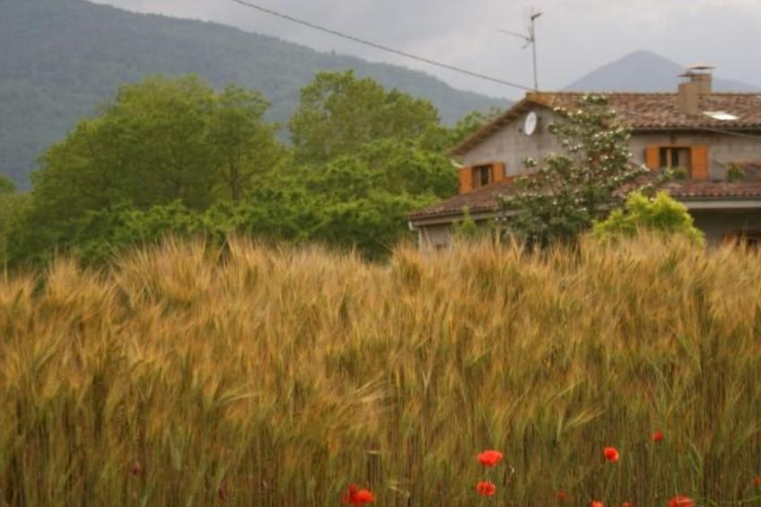 Wohnung El Graner mit großer Fensterfront - foto 14