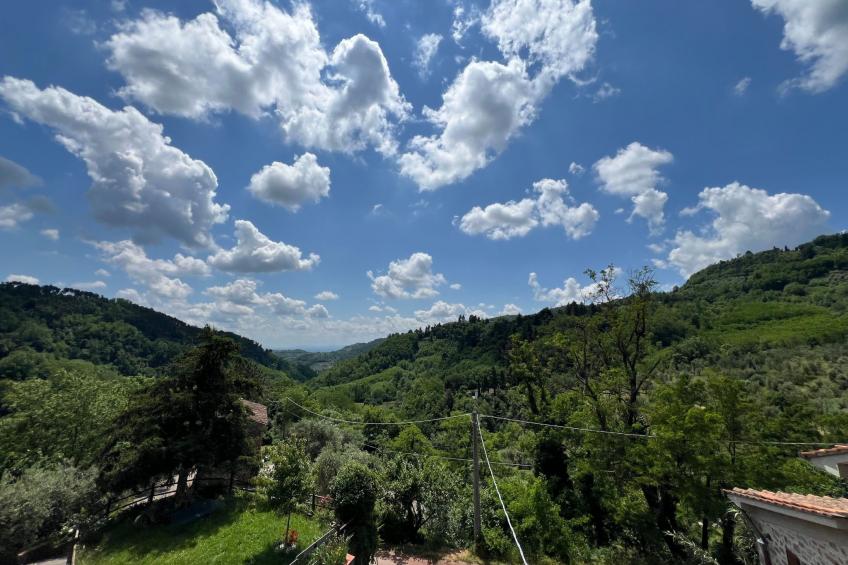 Rosa Selvatica by Holiday World - foto 18