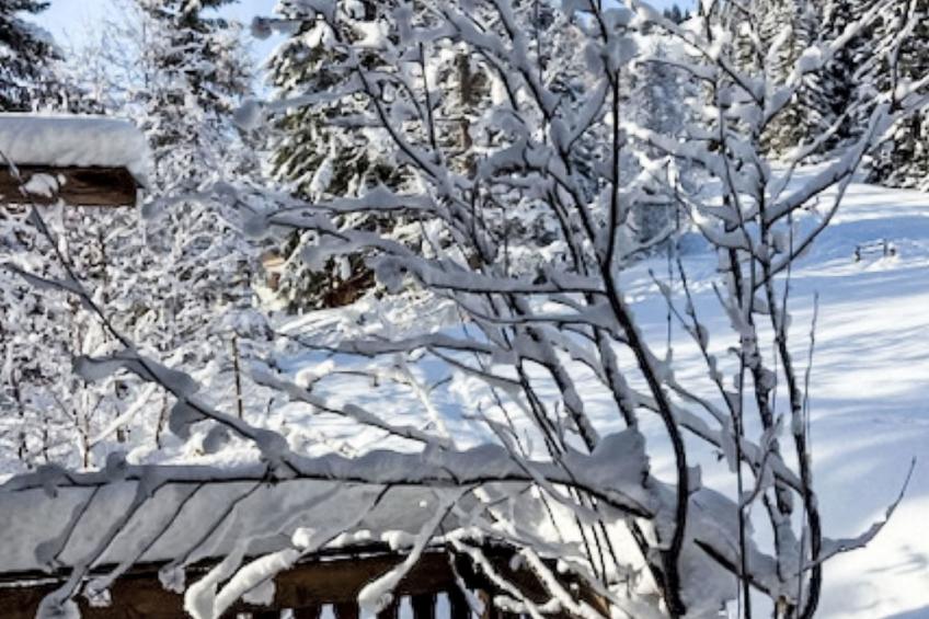 Rodas Soura 5 - foto 29