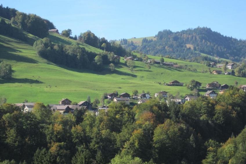 23090 - foto 32