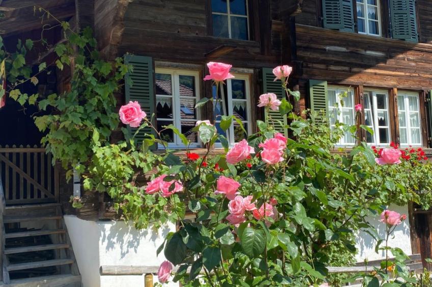 „Seesicht“ - foto 8