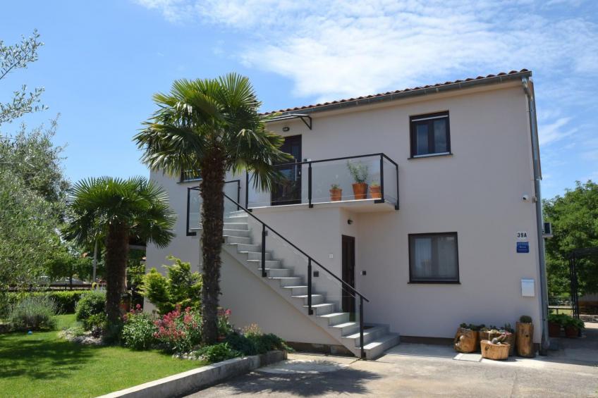 Aki Antonio - foto 2