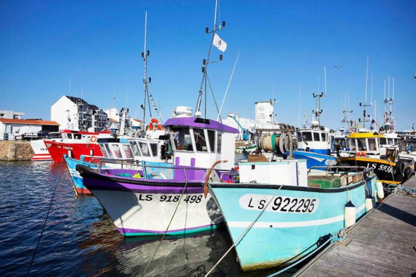Chalets à Bretignolles-sur-Mer - foto 24