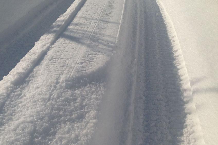 Kräuterhof-Ferienwohnung - foto 15