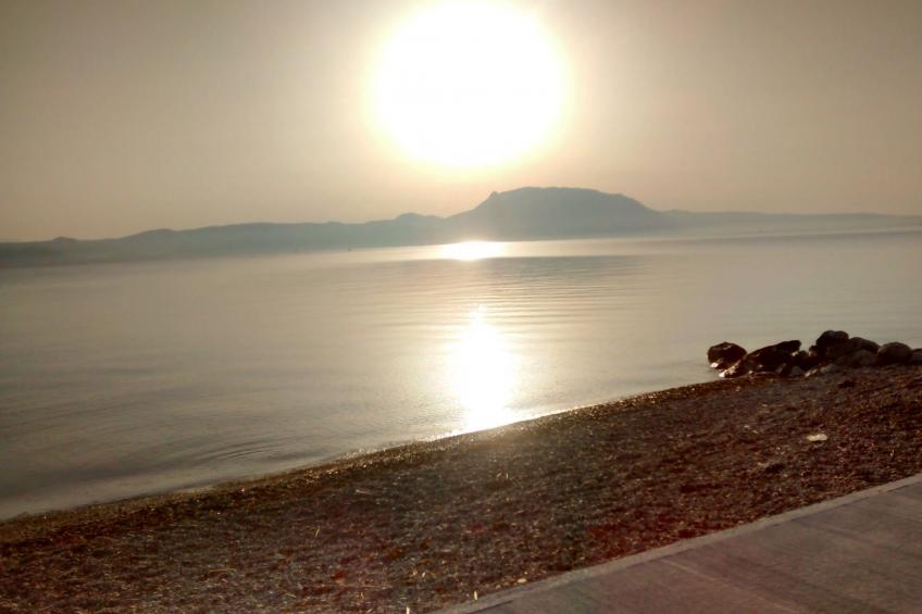neben Orangenbaum-Obstgarten - foto 17